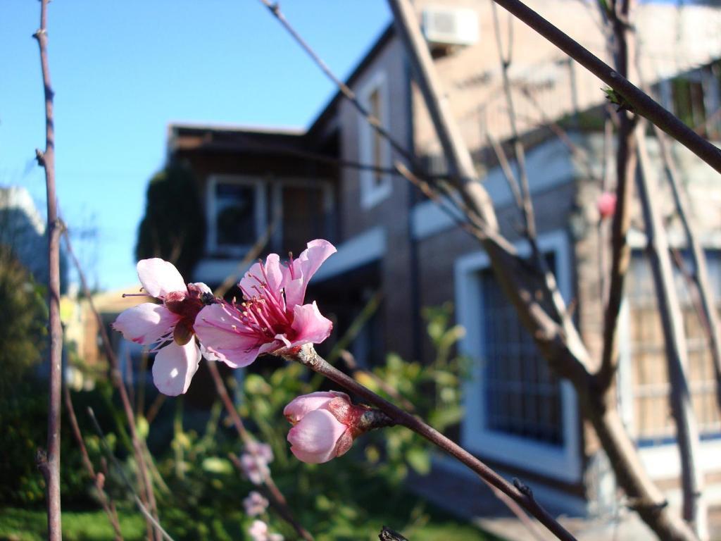 La Demorada Bed & Breakfast San Antonio de Areco Ngoại thất bức ảnh