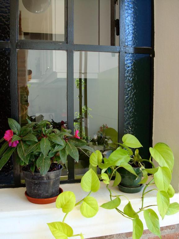La Demorada Bed & Breakfast San Antonio de Areco Ngoại thất bức ảnh