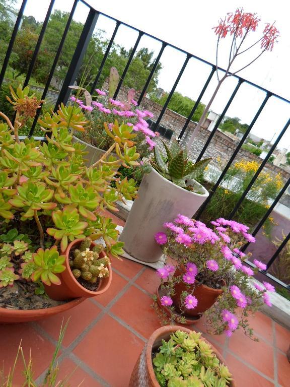La Demorada Bed & Breakfast San Antonio de Areco Ngoại thất bức ảnh
